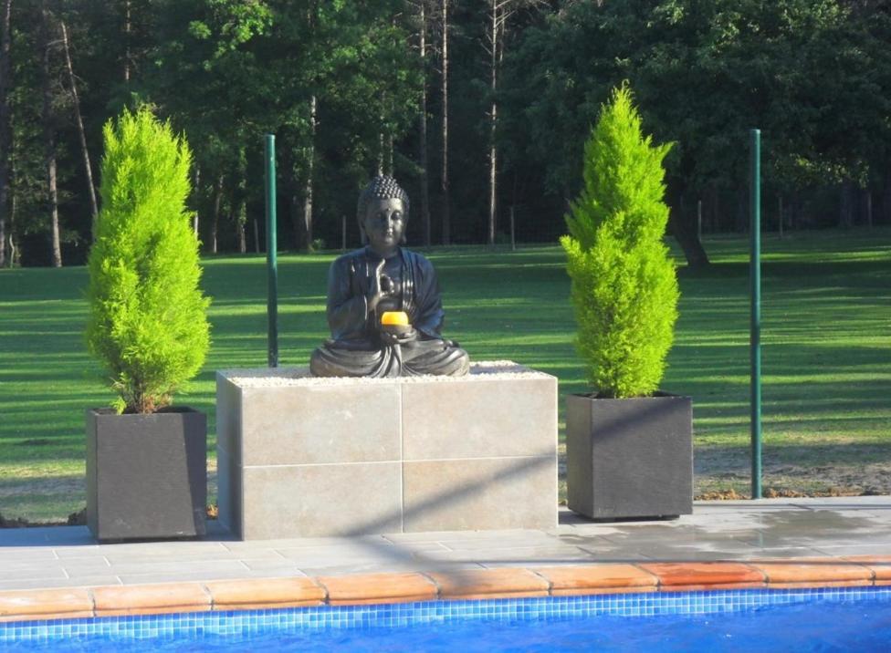 Mas La Riera Pensionat Campdevánol Exteriör bild